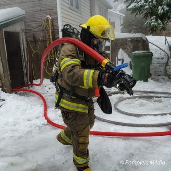 Meet your Posher, Francis - Picture 1 of 1